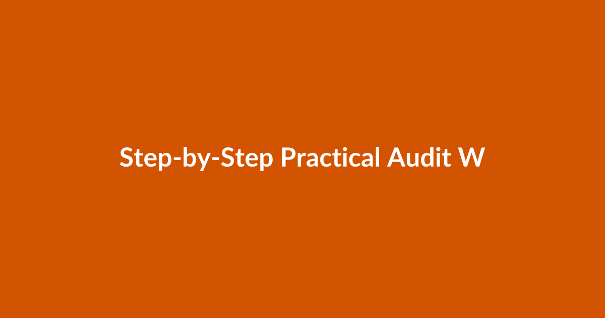 Step-by-Step Practical Audit Workflow